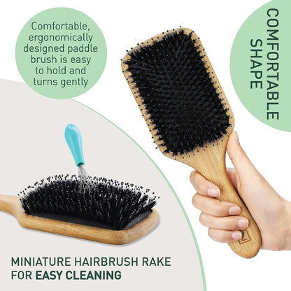 Natural Boar Bristle Hair Brush for Women, Men, Kids; Dry and Wet Detangling Hair Brush Gently Enhances Shine, Smooths Frizz and Prevents Breakage in Fine and Straight, Thick and Curly Hair (paddle)