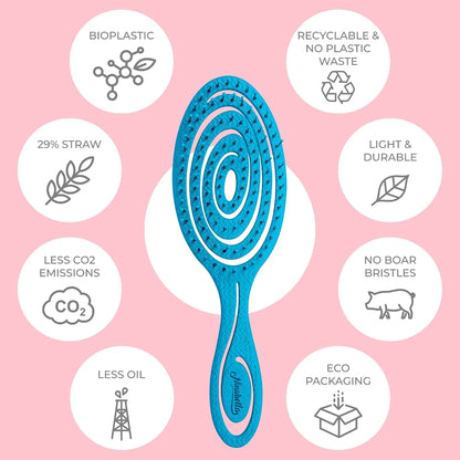 Ninabella Detangler Brush - No Tangle Hair Brush for Women, Fine, Thick and Long Hair - Hairbrush for Wet and Dry Hair, Gentle on the Scalp - Light Blue