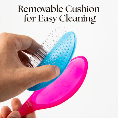 Olivia Garden Aurora Detangler Brush for Wet and Dry Fine to Medium Hair - Detangling Brush for Women, Men, Kids
