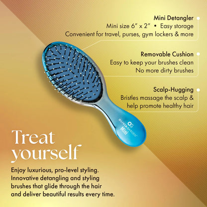 Olivia Garden Aurora Detangler Brush for Wet and Dry Fine to Medium Hair - Detangling Brush for Women, Men, Kids