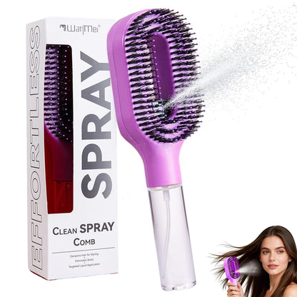 Hair Brush with Water Spray - 2-in-1 Detangler Brush for Frizz Control