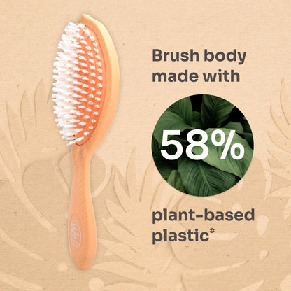 Wet Brush Go Green Coconut Oil Infused Detangling Hair Brush - Pain-Free Ultra-Soft Detangler Bristles Glide Through Tangles with Ease - Protects Against Split Ends (Pack of 2)