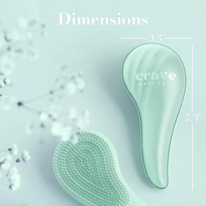 Crave Naturals Detangling Hair Brush Large Turquoise – Glide Thru Hair Detangler Brush for Women, Kids & Toddlers – Gentle Scalp Care, No-Pain Tangle-Free Hairbrush for All Hair Types