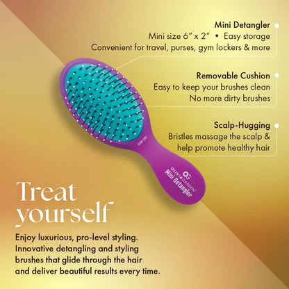 Olivia Garden Aurora Detangler Brush for Wet and Dry Fine to Medium Hair - Detangling Brush for Women, Men, Kids