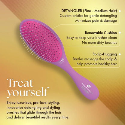 Olivia Garden Aurora Detangler Brush for Wet and Dry Fine to Medium Hair - Detangling Brush for Women, Men, Kids