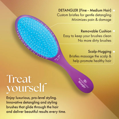 Olivia Garden Aurora Detangler Brush for Wet and Dry Fine to Medium Hair - Detangling Brush for Women, Men, Kids