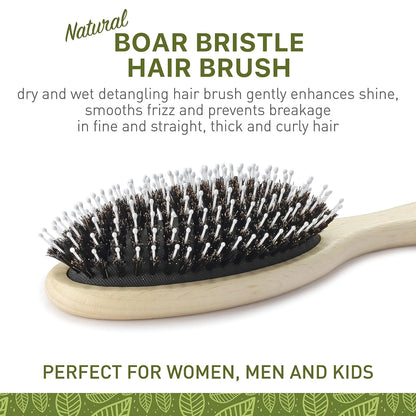 Natural Boar Bristle Hair Brush for Women, Men, Kids; Dry and Wet Detangling Hair Brush Gently Enhances Shine, Smooths Frizz and Prevents Breakage in Fine and Straight, Thick and Curly Hair (oval)