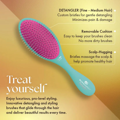 Olivia Garden Aurora Detangler Brush for Wet and Dry Fine to Medium Hair - Detangling Brush for Women, Men, Kids