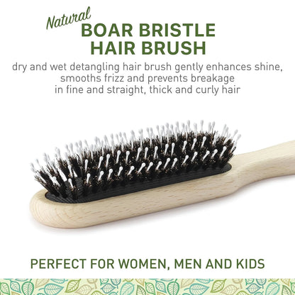 Natural Boar Bristle Hair Brush for Women, Men, Kids; Dry and Wet Detangling Hair Brush Gently Enhances Shine, Smooths Frizz and Prevents Breakage in Fine and Straight, Thick and Curly Hair (oval)