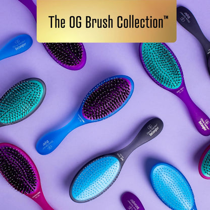 Olivia Garden Aurora Detangler Brush for Wet and Dry Fine to Medium Hair - Detangling Brush for Women, Men, Kids