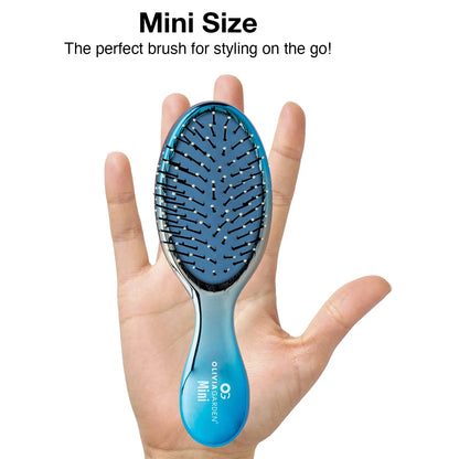 Olivia Garden Aurora Detangler Brush for Wet and Dry Fine to Medium Hair - Detangling Brush for Women, Men, Kids